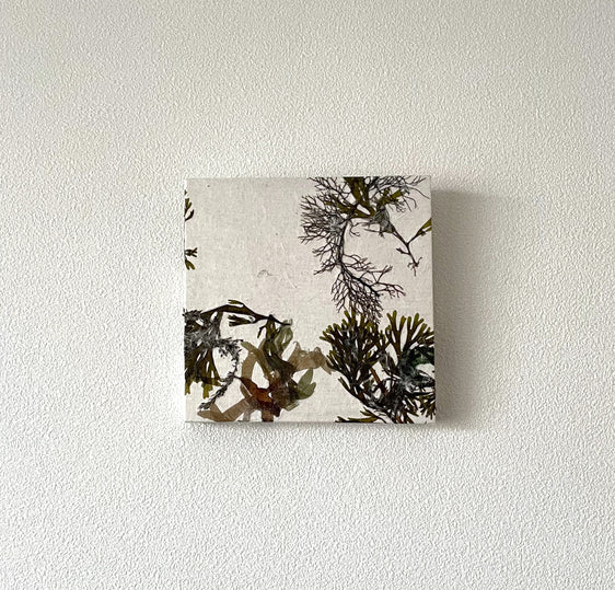 Art Panel 正方形 (15cmx15cm) 海藻